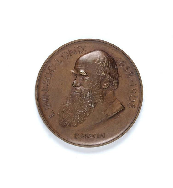 A Linnean Society Brass Darwin-Wallace Medal by Frank Boucher, 1908